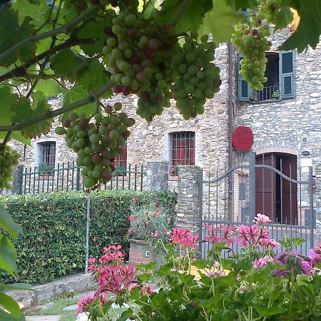 Вилла Agriturismo A Veggia Vigna Гарленда Экстерьер фото